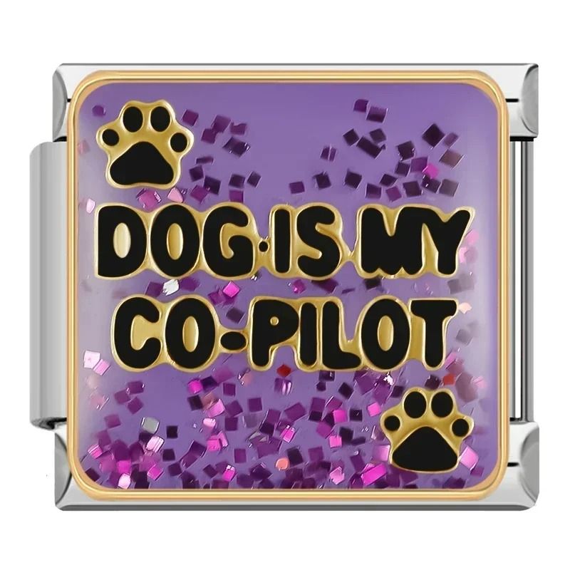 dog is my co-pilot charm