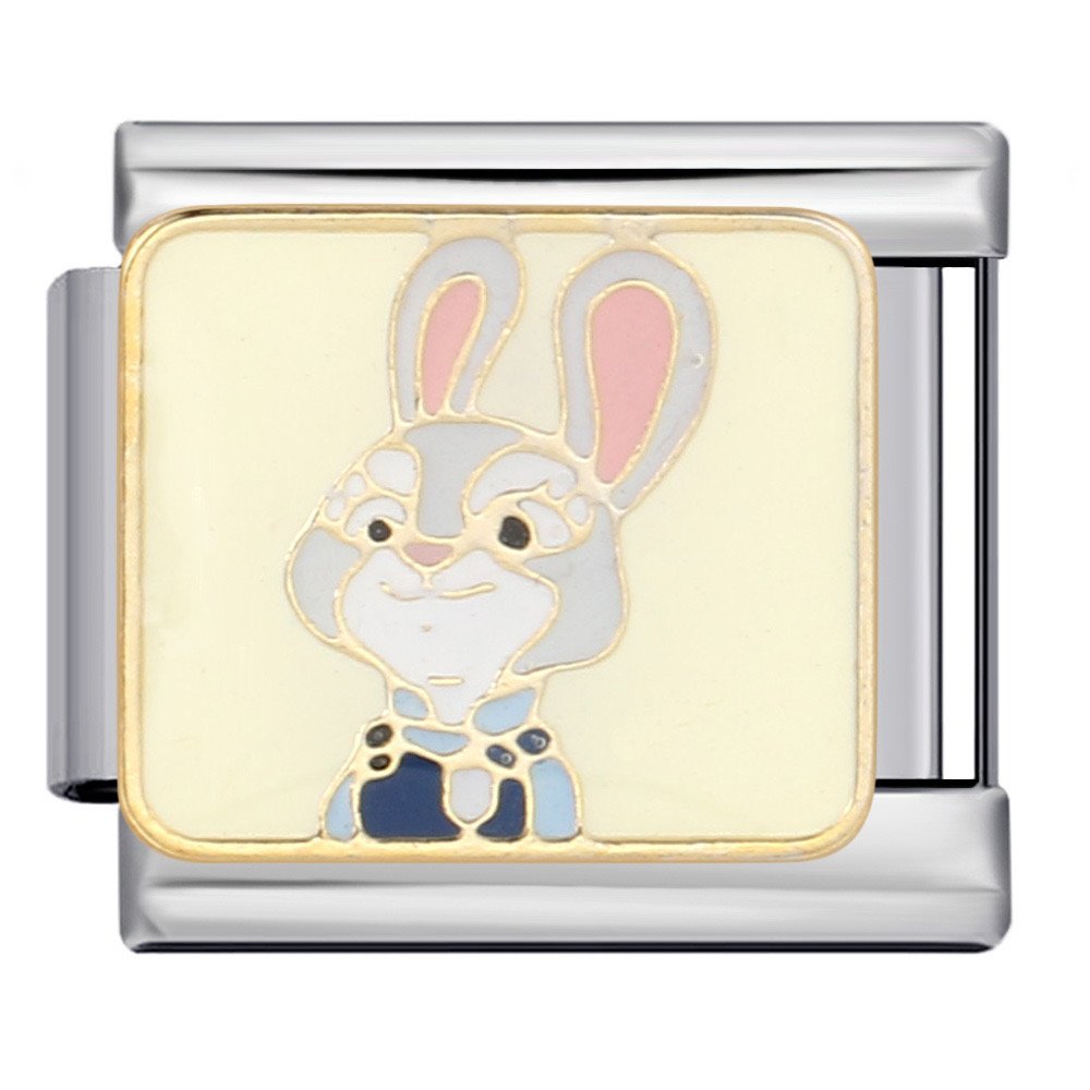 judy hoops charm