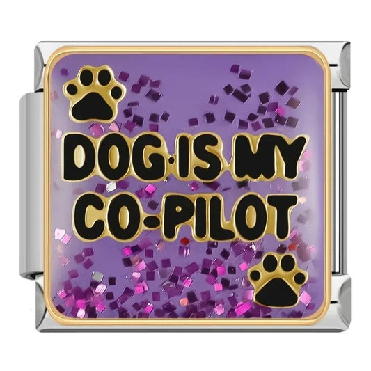 dog is my co-pilot charm